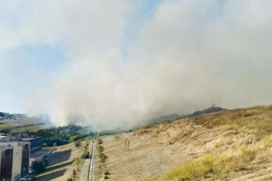 Incêndio deflagra numa zona de mato em Algés	