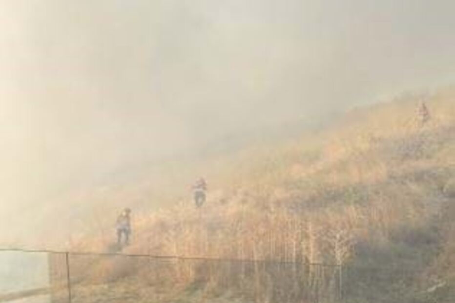 Incêndio deflagra numa zona de mato em Algés	