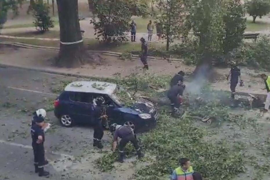 Ramos de ávrore caem em cima de viatura na rotunda da Boa Vista