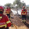 <![CDATA[ Idoso desentende-se com vizinhos e pega fogo à floresta  ]]>