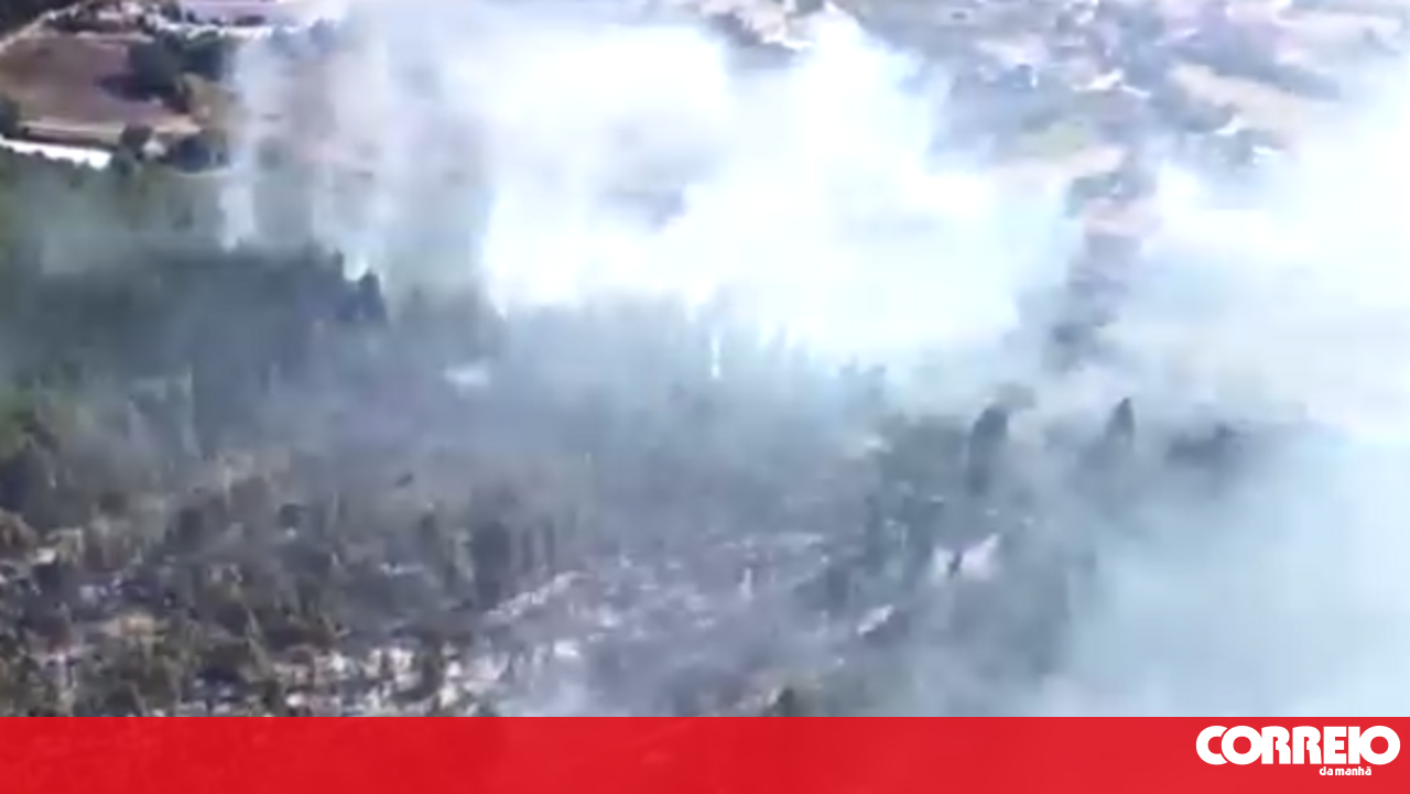 Incêndio deflagra numa zona de mato em Mafra - Portugal - Correio da Manhã