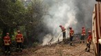 Governo disponibiliza apoio a agricultores afetados pelo fogo de Odemira 
