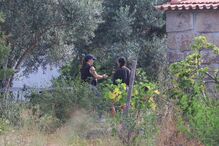 Buscas no 'Reino do Pineal'