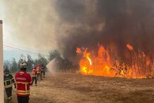 Incêndio em Proença-a-Nova