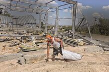 Produção de cereais