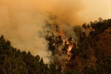 Incêndio em Tenerife