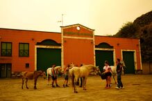 Incêndio em Tenerife