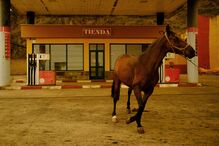 Incêndio em Tenerife