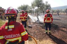 Bombeiros combatem incêndio em Alvaiázere