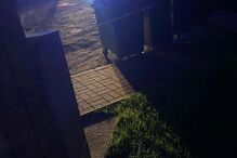 Homem mata mulher com três tiros e suicida-se em Felgueiras