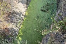 Pai e filho pastores encontrados mortos em São João da Pesqueira