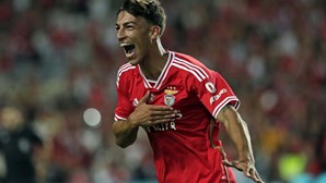 Portimonense 0-2 Benfica - Musa aumenta a vantagem das águias