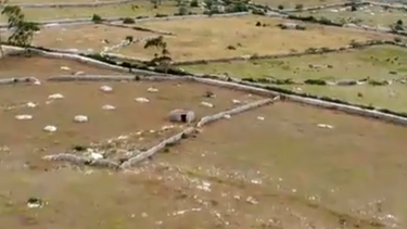 Conheça o novo sistema que deteta focos de incêndio criado em Portugal 