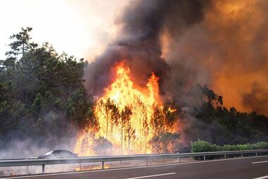 Incêndio na A1 em Leiria