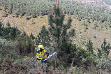 Portugal tem milhões de terrenos rústicos sem cadastro predial