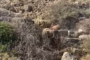 Descarga na Praia da Mareta em Sagres deixa banhistas descontentes