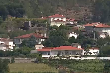 Jovem ferido após ser mordido por um cão