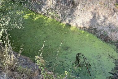 Pai e filho pastores encontrados mortos em São João da Pesqueira