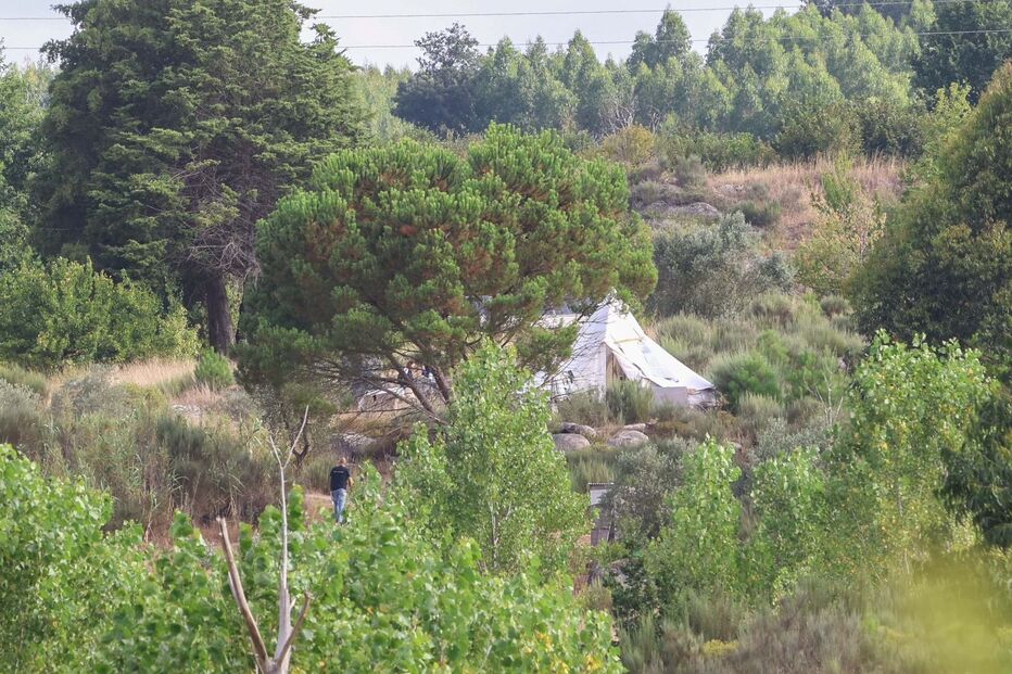 Buscas no 'Reino do Pineal'