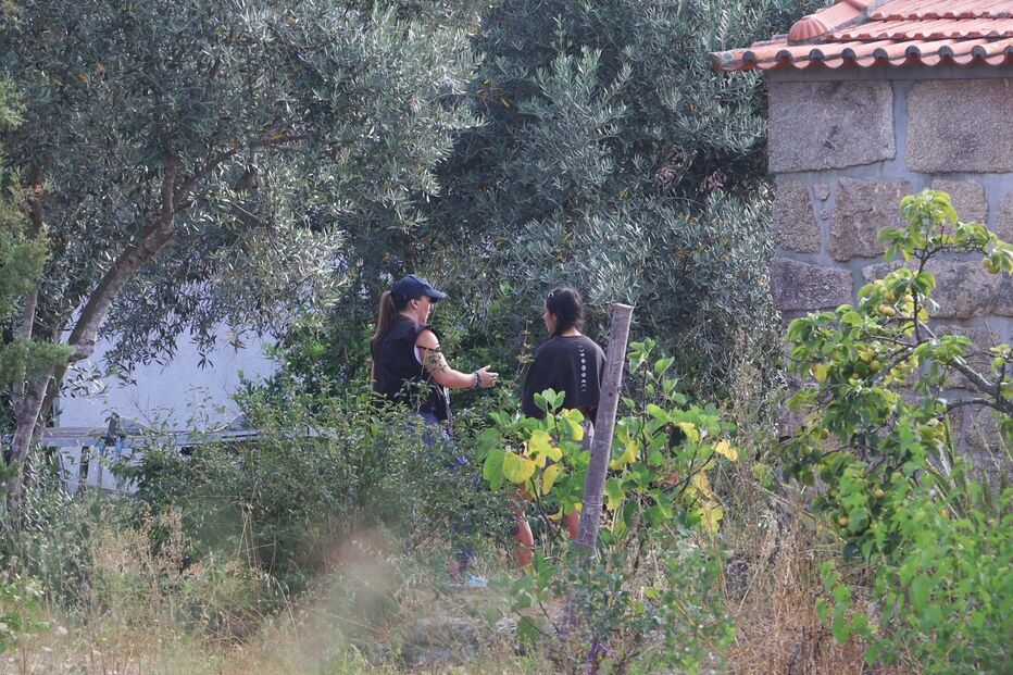 Buscas no 'Reino do Pineal'