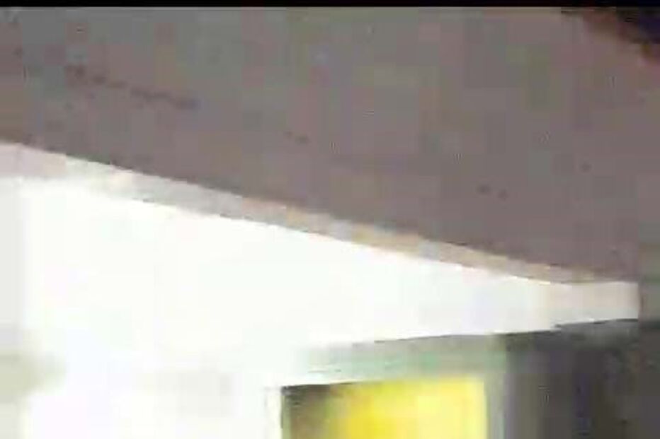 Maria Cerqueira Gomes, Francisca