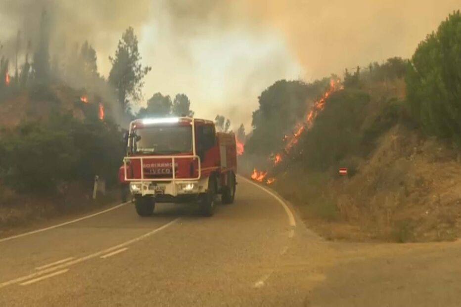 Incêndio em Proença-a-Nova 