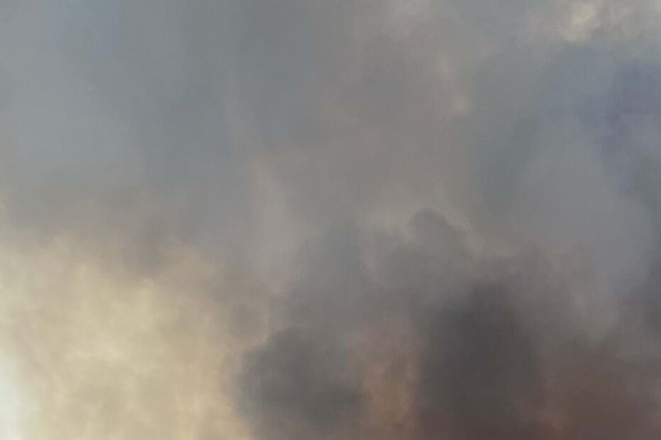 Incêndio em Proença-a-Nova