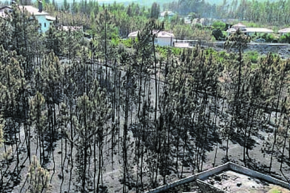 Fogo, incêndios, Proença-a-Nova 