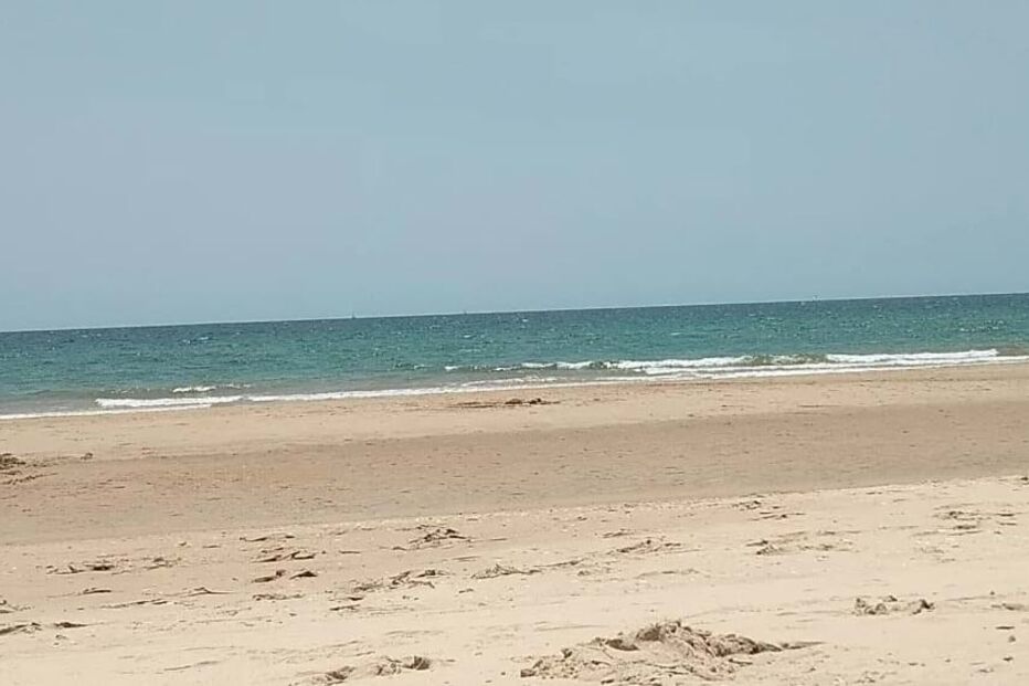 Praia da Lota