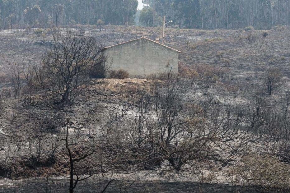 Incêndio em Odemira
