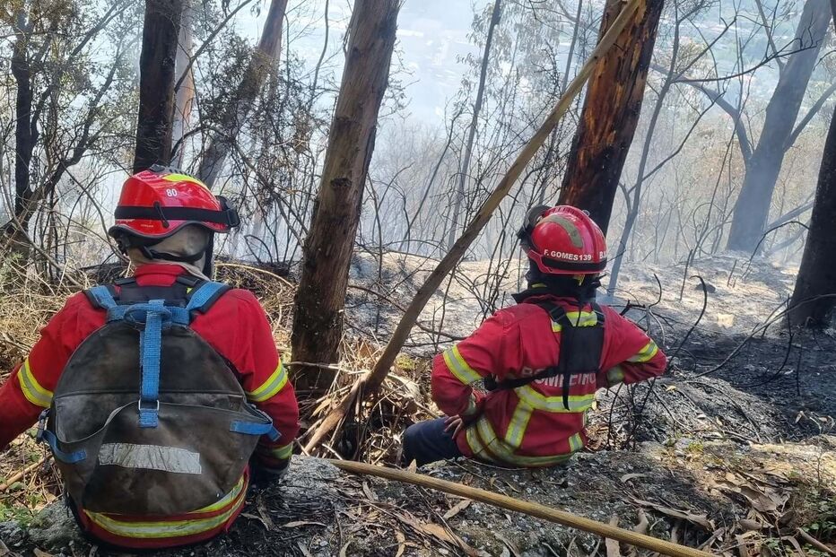 Dois jovens ateiam incêndio em Braga