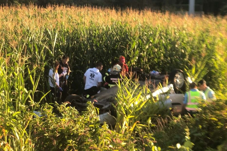 Idoso ferido com gravidade após despiste em Oliveira de Azeméis