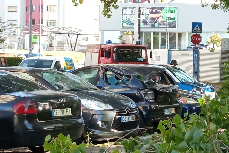 Queda de árvore no Porto destrói carros