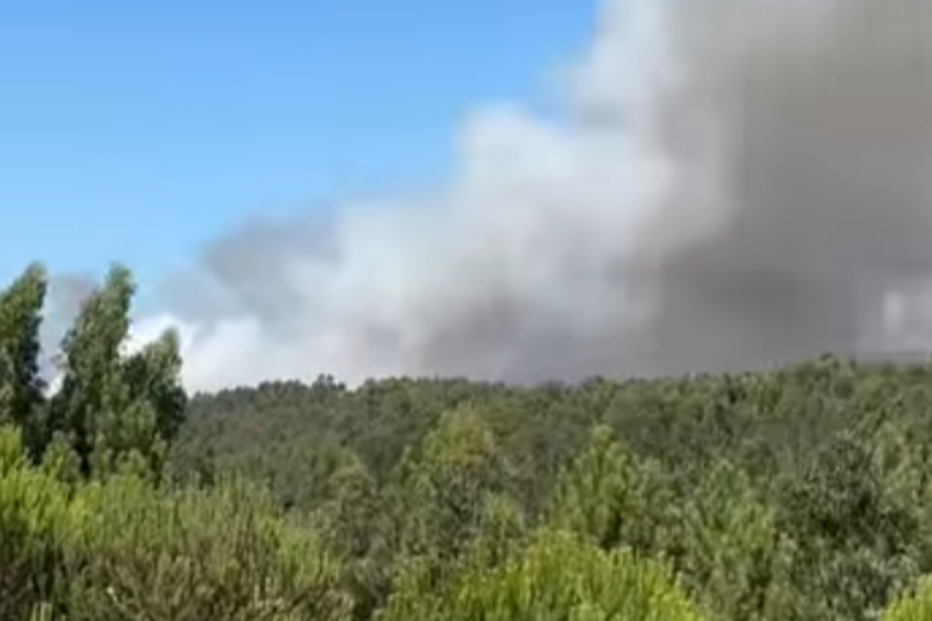 Incêndio em Anadia