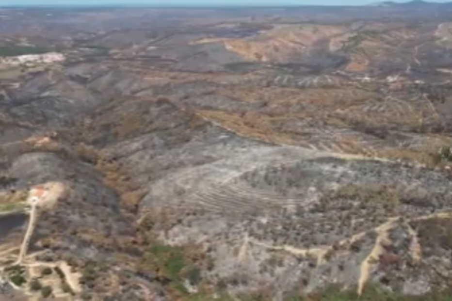 Área ardida em Odemira