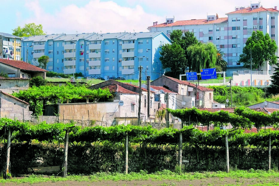 Acompanhante de luxo em rapto violento e milionário