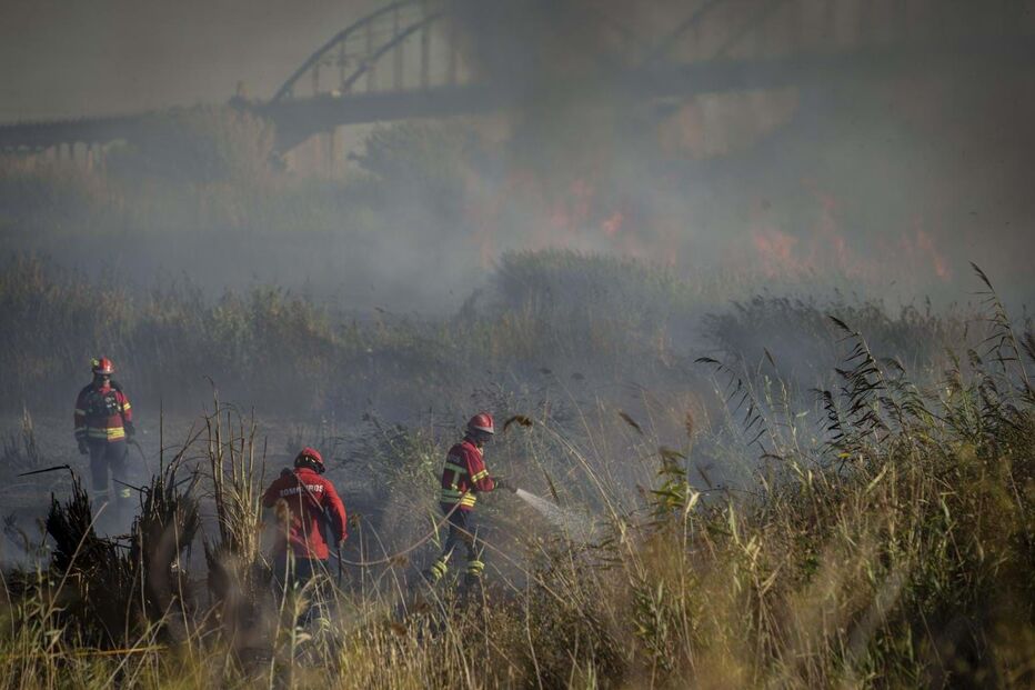 Incêndio deflagra numa zona de mato em Vila Franca de Xira