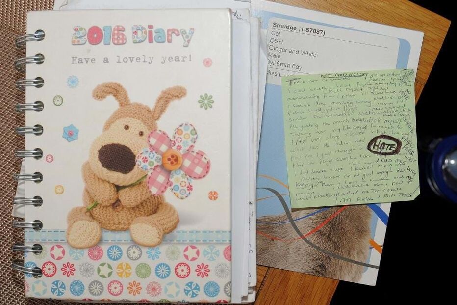 A polícia de Cheshire divulgou imagens de notas escritas pela enfermeira considerada culpada pela morte de sete bebés