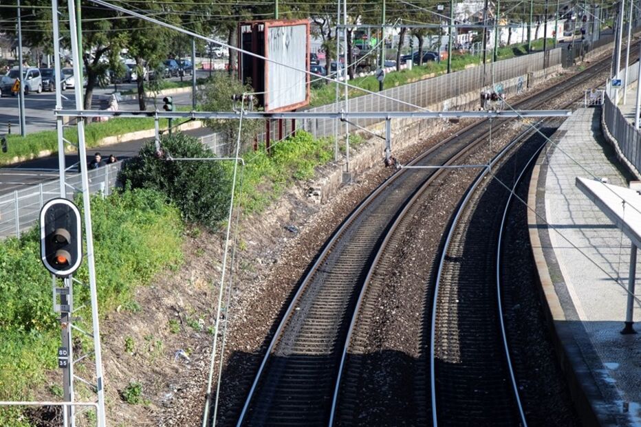 Imagem _JCG0220.JPG (18849379) (Milenium)