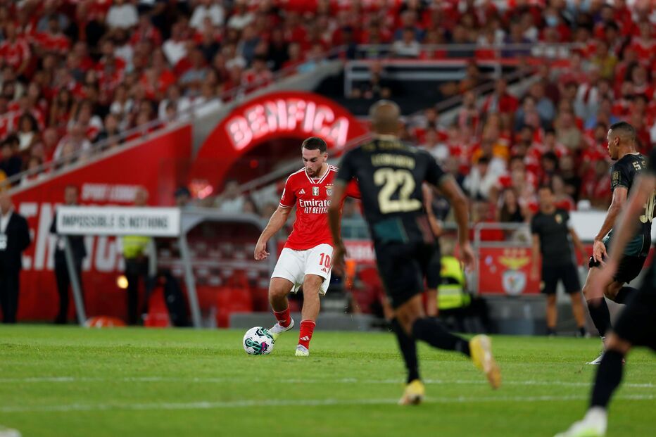 Benfica, Estrela Amadora
