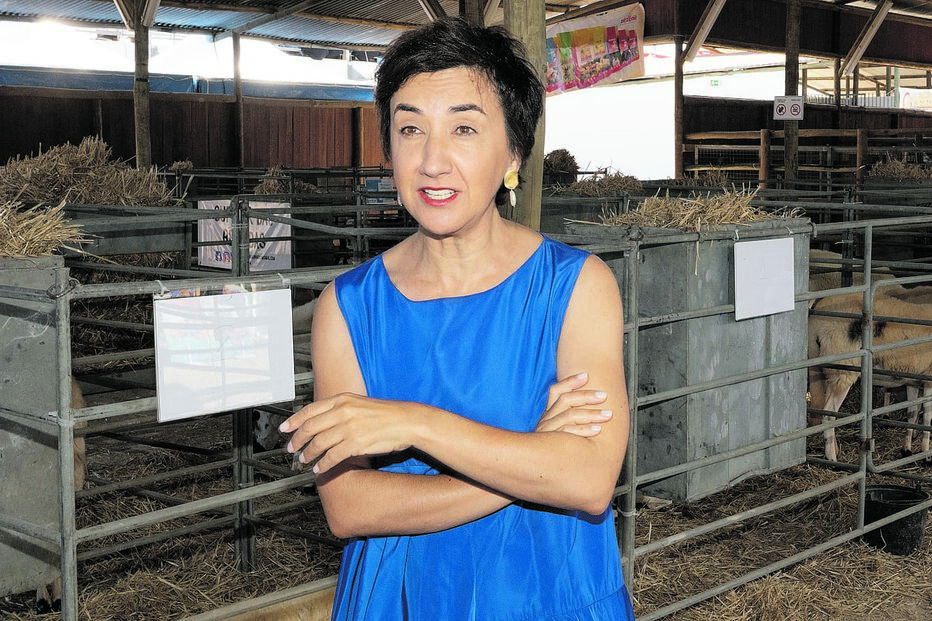 A ministra da Agricultura, Maria do Céu Antunes