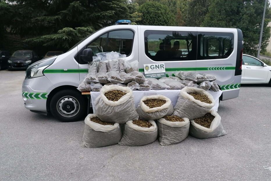 Produto estupefaciente apreendido