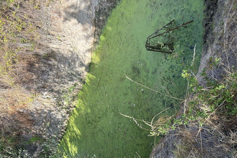 Pai e filho pastores encontrados mortos em São João da Pesqueira