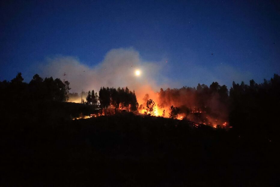 Mais de 200 bombeiros e 15 meios aéreos combatem incêndio na Sertã