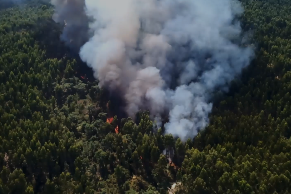 Incêndio em Santo Tirso