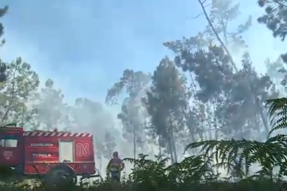 Ateava incêndios às sextas-feiras e aos sábados e chamava bombeiros