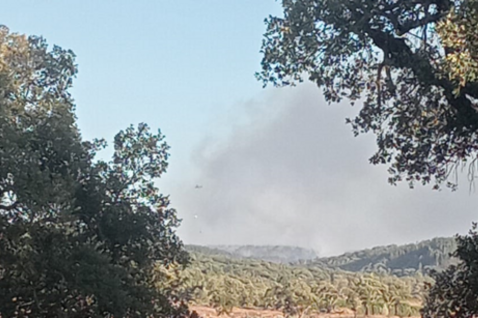 Incêndio na Chamusca