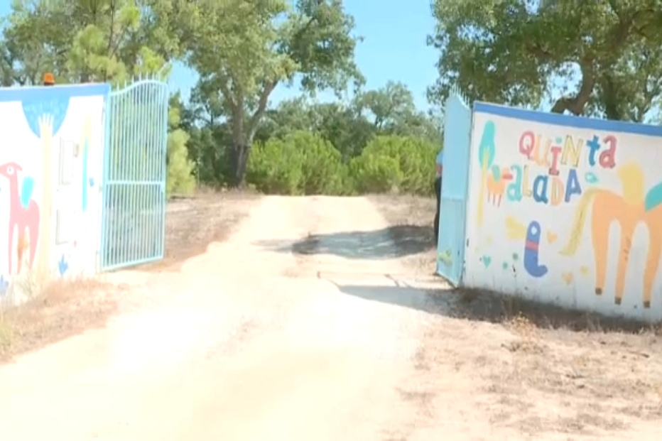 Quinta em Cortiçadas de Lavre, em Montemor-o-Novo