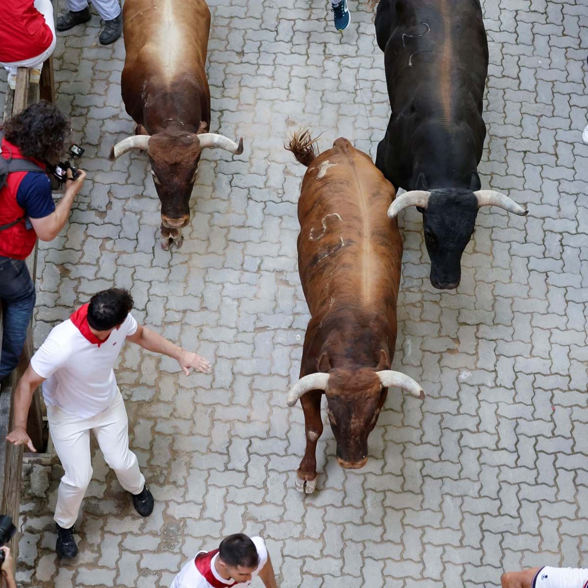 Corrida de touros na Espanha deixa sete feridos; veja vídeo