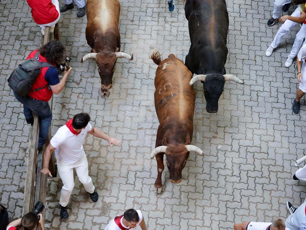 Morreu o homem ferido por um touro durante festival em Espanha - Mundo -  Correio da Manhã